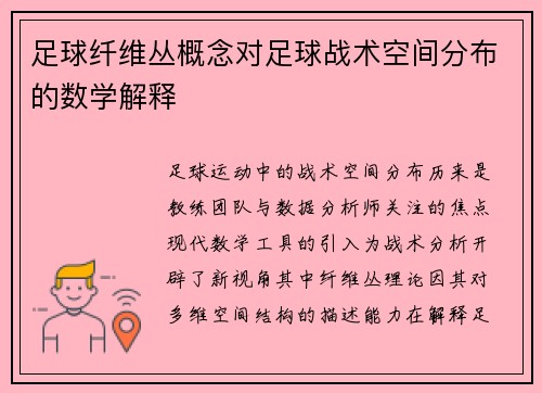 足球纤维丛概念对足球战术空间分布的数学解释